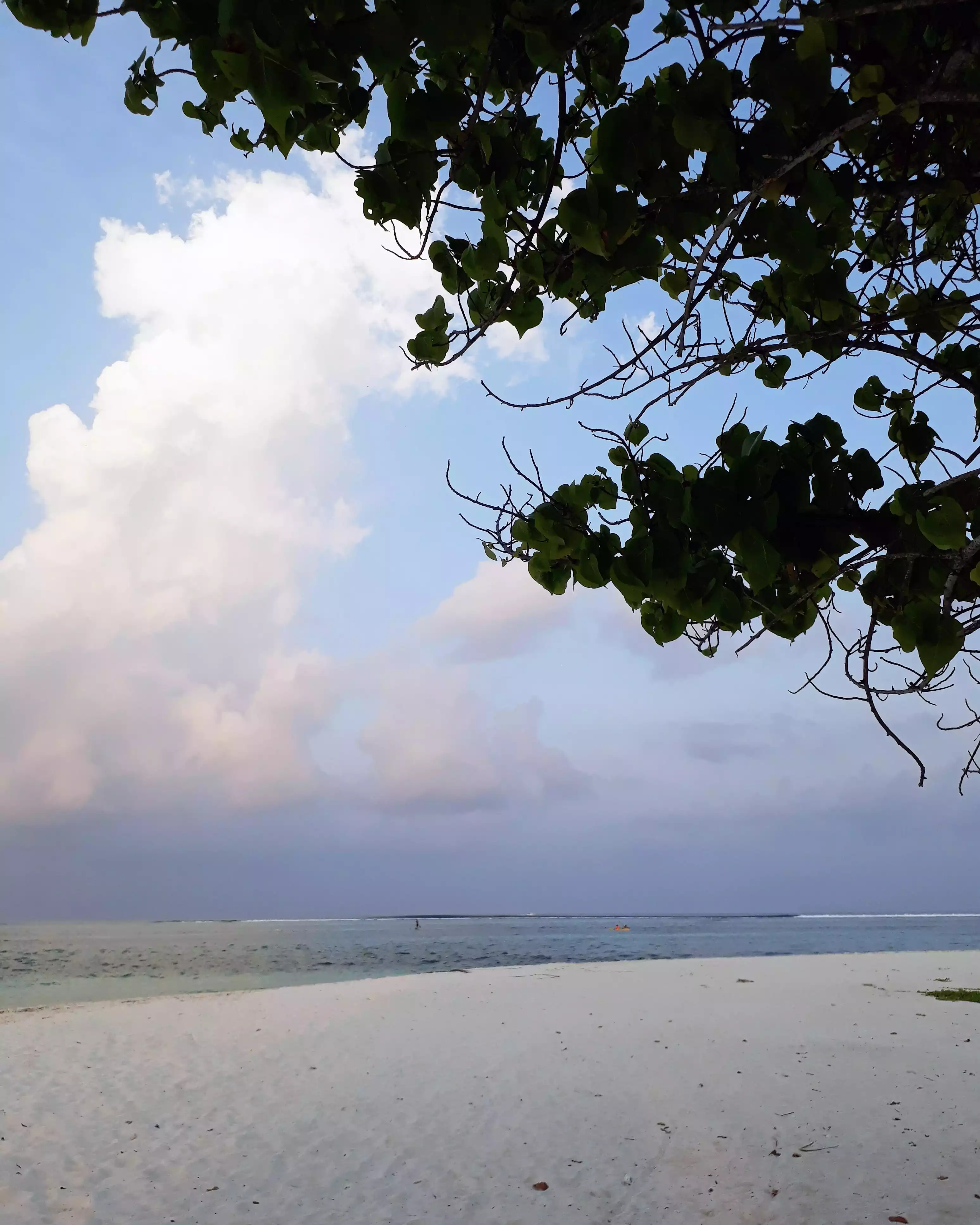 Playa local, Maafushi, Maldivas.