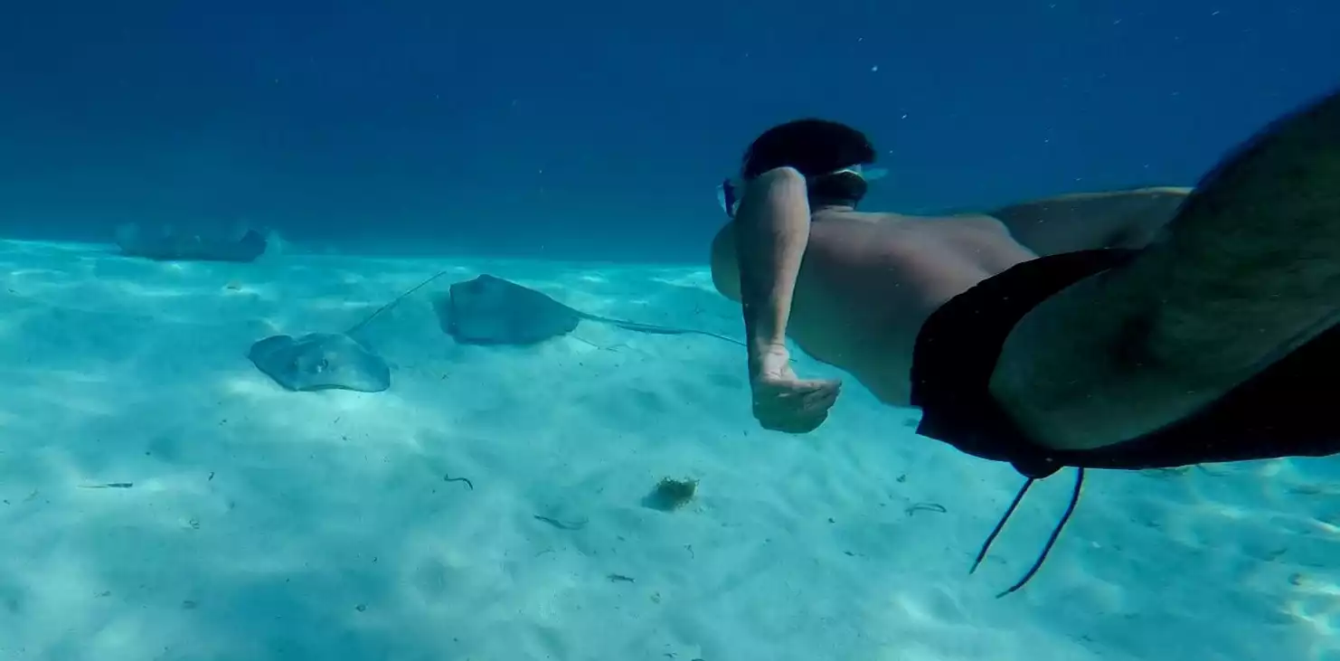 Nadando con mantarayas en pleno Mar Caribe, Isla de San Andrés, Colombia.
